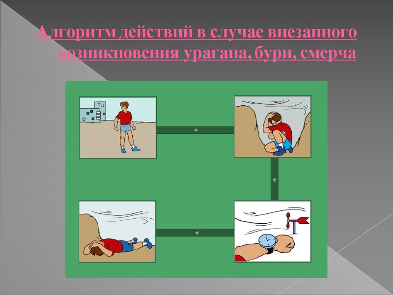 Алгоритм действий в случае внезапного возникновения урагана, бури, смерча